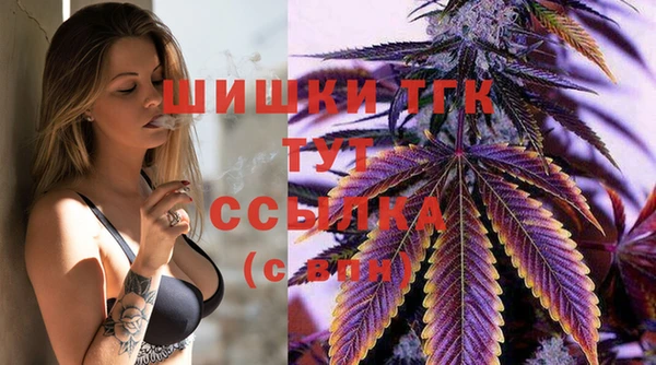 spice Бородино