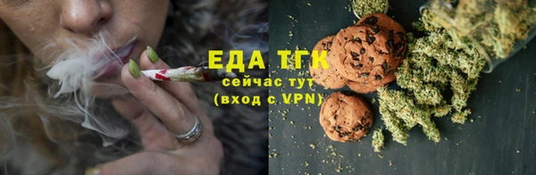 spice Бородино