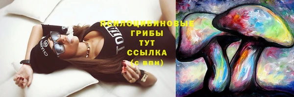 spice Бородино