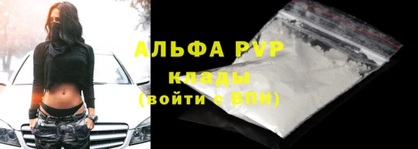 spice Бородино