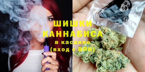 spice Бородино