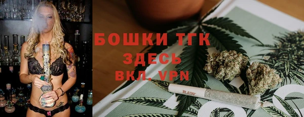 spice Бородино