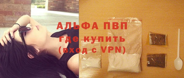 spice Бородино