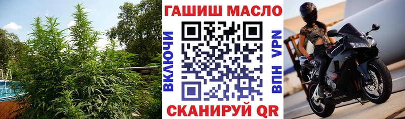 ТГК THC oil  Купить  Кингисепп 