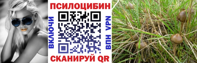 Галлюциногенные грибы прущие грибы  Купить  Кингисепп 